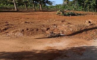 Residential Land for Sale in Pathanamthitta, Pathanamthitta, Pathanamthitta, Angadical North Sastha Temple, Kodumon, Pathanamthitta