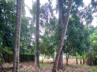 Residential Land for Sale in Kottayam, Kottayam town, Kottayam town, Aruthooty junction