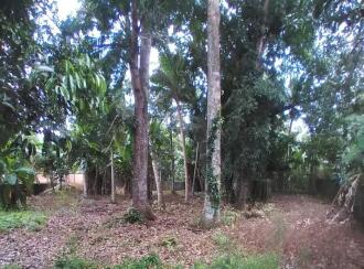 Residential Land for Sale in Kottayam, Kottayam town, Kottayam town, Aruthooty junction
