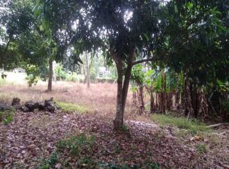 Residential Land for Sale in Kottayam, Kottayam town, Kottayam town, Aruthooty junction