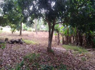 Residential Land for Sale in Kottayam, Kottayam town, Kottayam town, Aruthooty junction