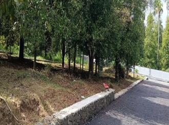 Residential Land for Sale in Ernakulam, Angamaly, Karukutty, Near Apollo hospital Karukutty