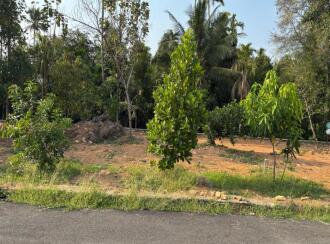 Residential Land for Sale in Ernakulam, Kochi, Eloor