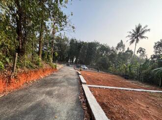 Residential Land for Sale in Ernakulam, Angamaly, Angamaly