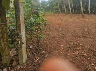 Residential Land for Sale in Alleppey, Haripad, Haripad, near nss high school