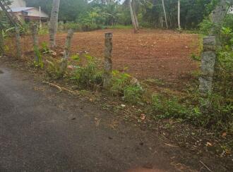 Residential Land for Sale in Alleppey, Haripad, Haripad, near nss high school