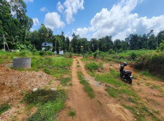 Residential Land for Sale in Kottayam, Kottayam town, Puthuppally, Ericadu, Kaithappalam, Puthuppally