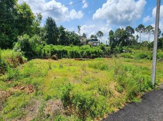 Residential Land for Sale in Kottayam, Kottayam town, Puthuppally, Ericadu, Kaithappalam, Puthuppally