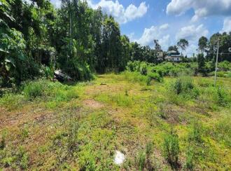 Residential Land for Sale in Kottayam, Kottayam town, Puthuppally, Ericadu, Kaithappalam, Puthuppally