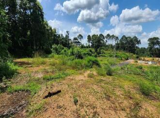 Residential Land for Sale in Kottayam, Kottayam town, Puthuppally, Ericadu, Kaithappalam, Puthuppally