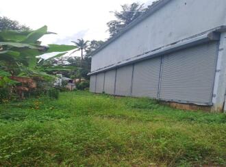Commercial Building for Rent in Kottayam, Pampady, 9th mile, 9th Mile Pampady