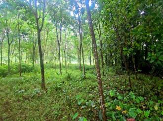 Residential Land for Sale in Ernakulam, Perumbavoor, Alattuchira, Alattuchira St. George Syro-Malabar Church