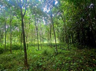 Residential Land for Sale in Ernakulam, Perumbavoor, Alattuchira, Alattuchira St. George Syro-Malabar Church