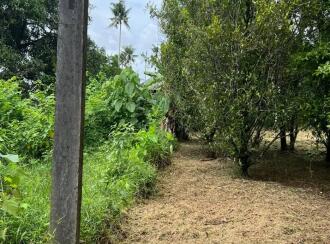 Residential Land for Sale in Thrissur, Chalakudy, Potta, Kanal Road