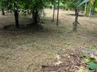 Residential Land for Sale in Thrissur, Chalakudy, Potta, Kanal Road