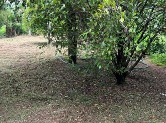 Residential Land for Sale in Thrissur, Chalakudy, Potta, Kanal Road