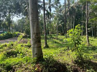 Residential Land for Sale in Malappuram, Melattur, Melattur, Edappatta