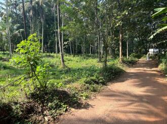 Residential Land for Sale in Malappuram, Melattur, Melattur, Edappatta