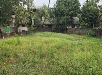 Residential Land for Sale in Ernakulam, Aluva, Company padi