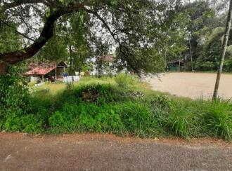 Residential Land for Sale in Alleppey, Alappuzha, Aryad, Aryad North Government U.P. School