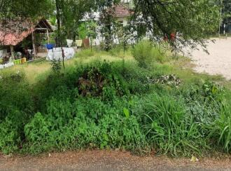 Residential Land for Sale in Alleppey, Alappuzha, Aryad, Aryad North Government U.P. School
