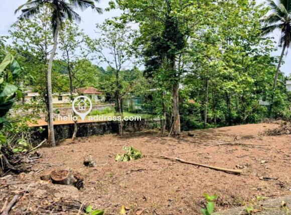 Inside plot view