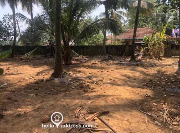 house plot 2