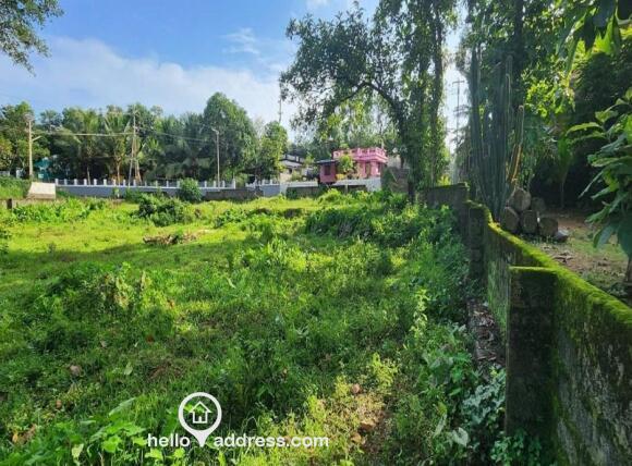 Commercial Land for Sale