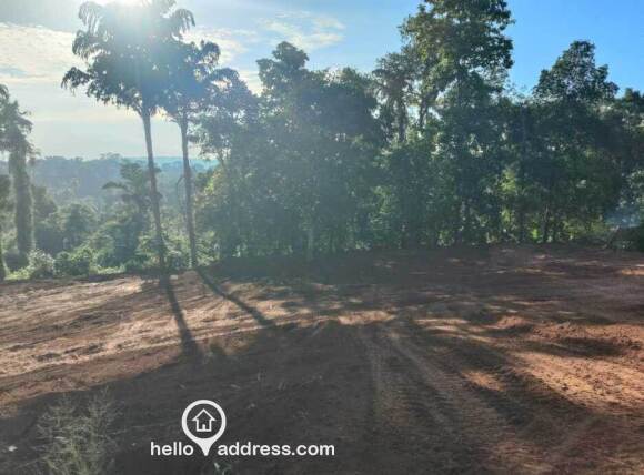 Residential Land for Sale