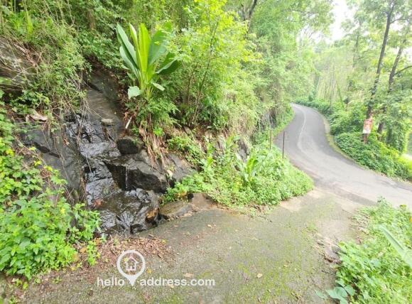 Agricultural Land for Sale