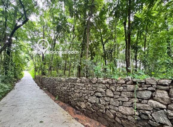 Residential Land for Sale