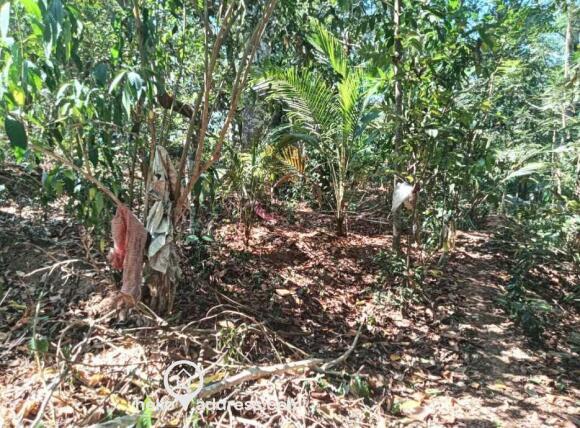 Plot area