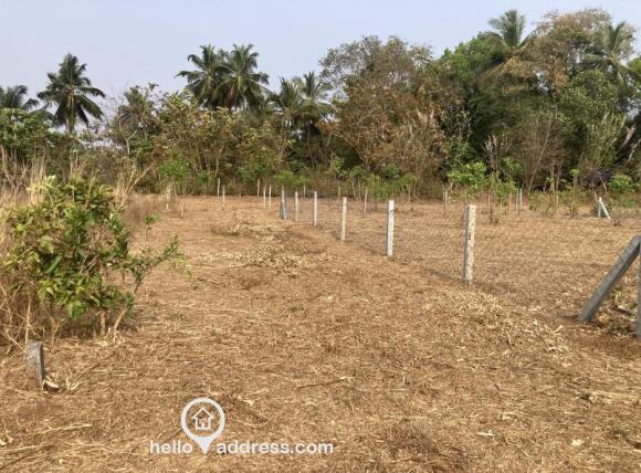8.5 Cent parambu near IRTC Mundur. 1.65 Lakh per cent