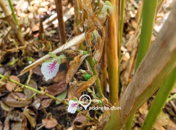 Agricultural Land for Sale
