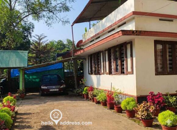 House in the property