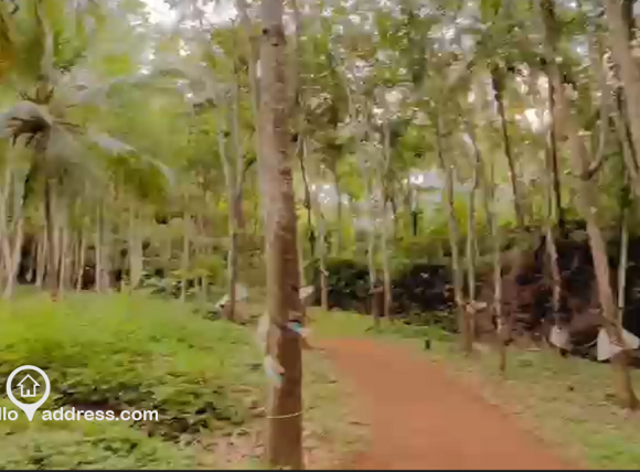 Agricultural Land for Sale