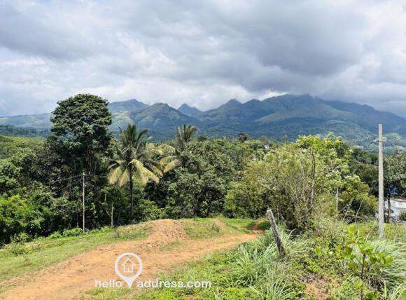 ???? 80 Cents Premium Hill View Land for Sale