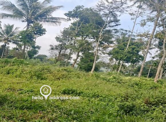 Commercial Land for Sale