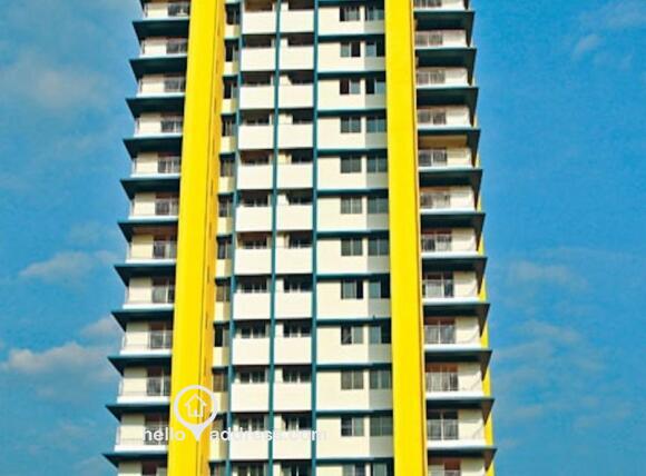 The apartment