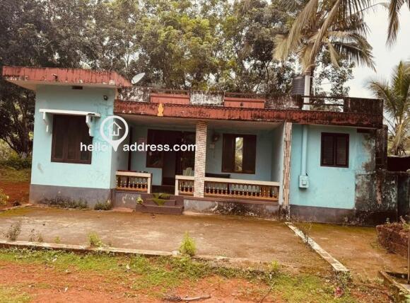 Agricultural Land for Sale
