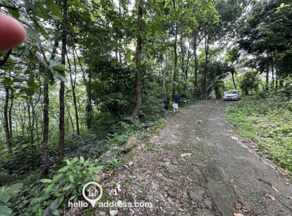 Agricultural Land for Sale