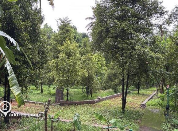Residential Land for Sale