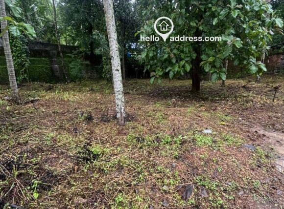 Residential Land for Sale