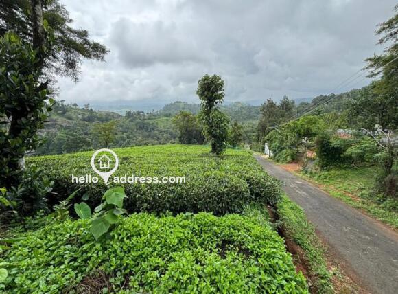 Agricultural Land for Sale