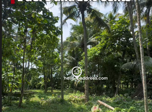 Residential Land for Sale