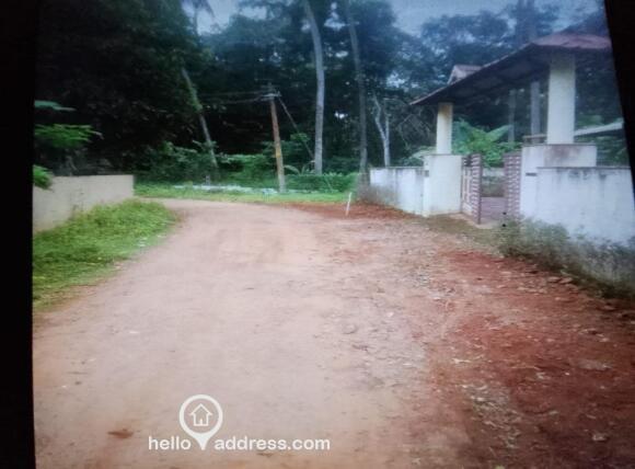 Road