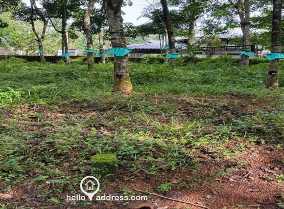 Kaipattoor Plot for sale