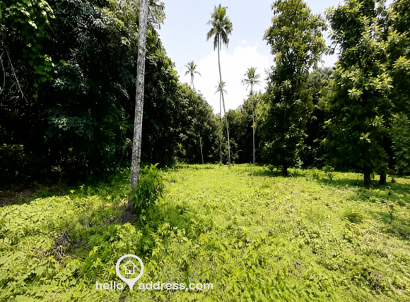 50 cent land near muvattupuzha town