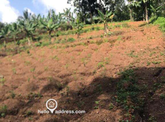House Plot for sale in Karuvenchal, Alakode