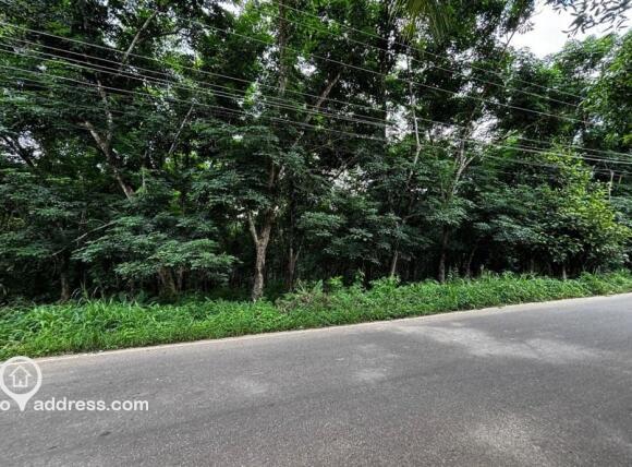 Commercial Land for Sale